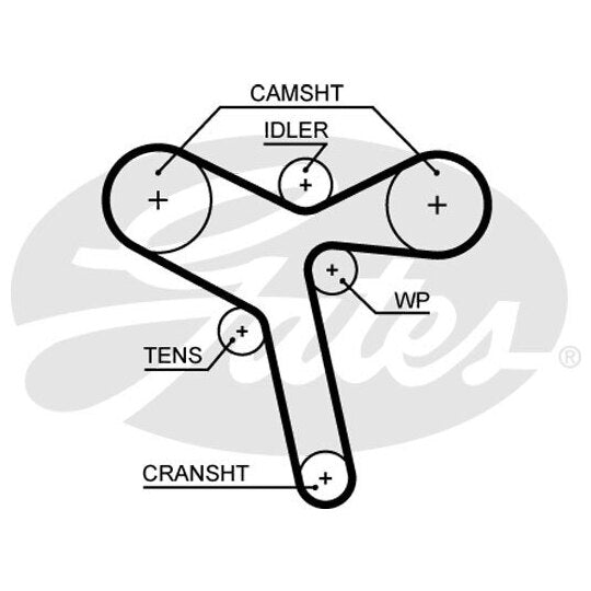 5647XS Timing Belt
