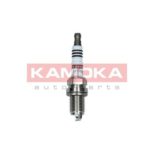 7090504 Spark Plug