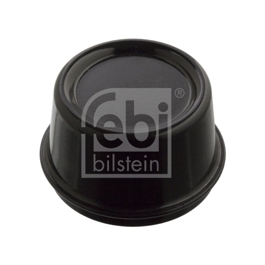 171143 Protection Lid, wheel hub