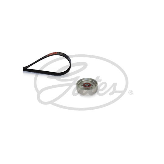 K046PK955 V-Ribbed Belt Set