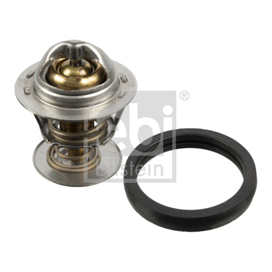 173096 Thermostat, coolant