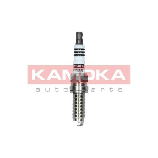7100018 Spark Plug