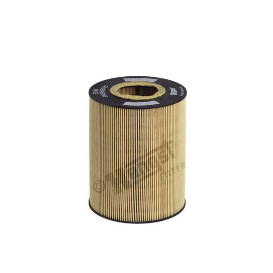 E13H D47 Oil filter