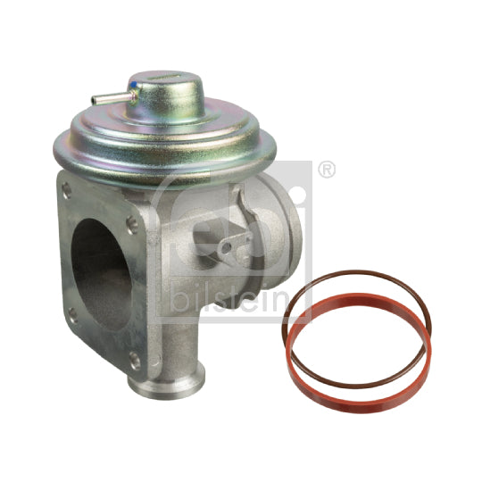 174551 EGR Valve