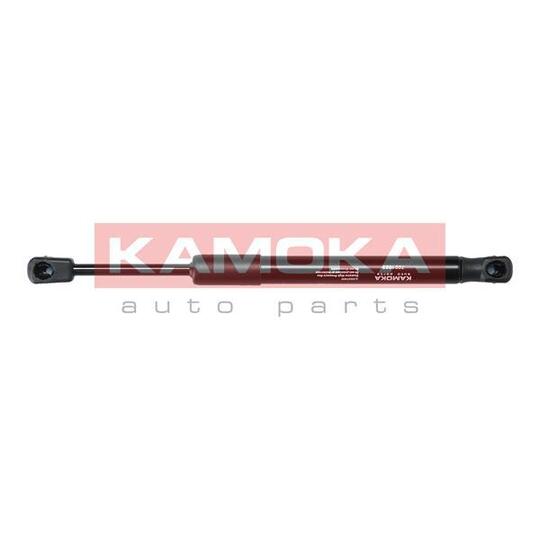 7091023 Gas Spring, bonnet
