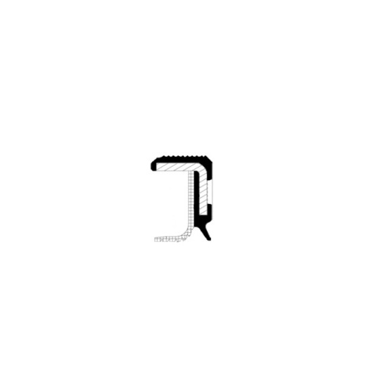 20034699B Shaft Seal, crankshaft