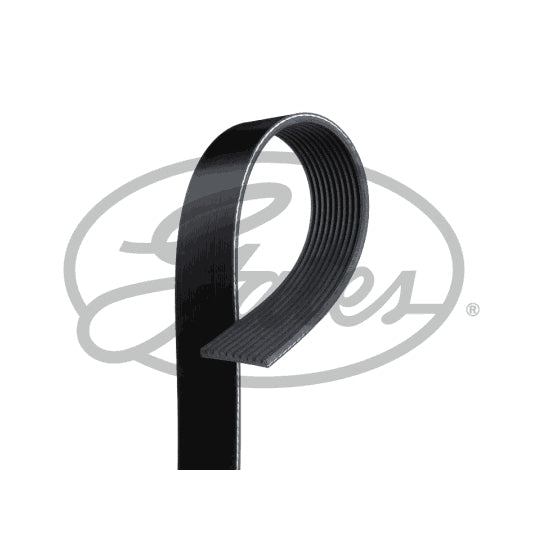 10PK2175HD V-Ribbed Belt