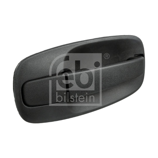 176969 Door Handle