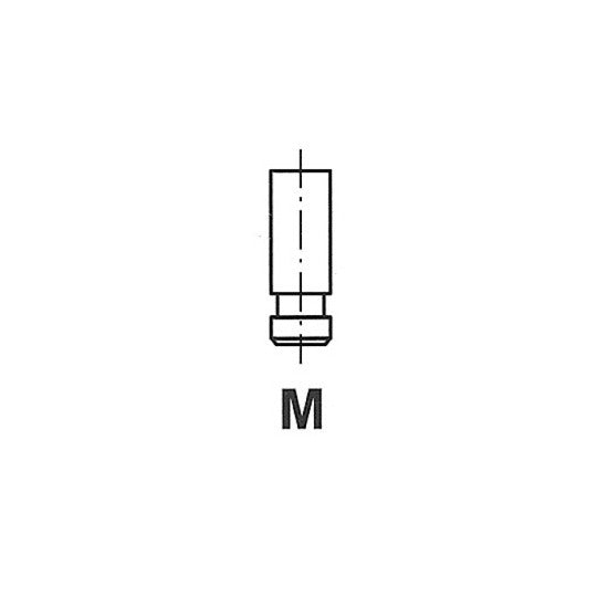 R6176/RNT Outlet valve