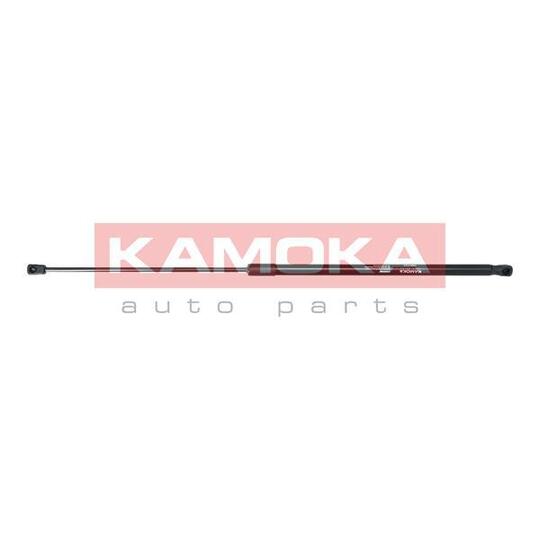 7091137 Gas Spring, bonnet
