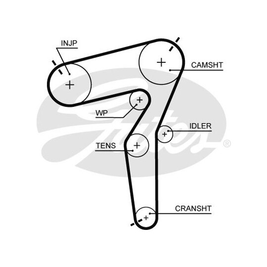 5684XS Timing Belt