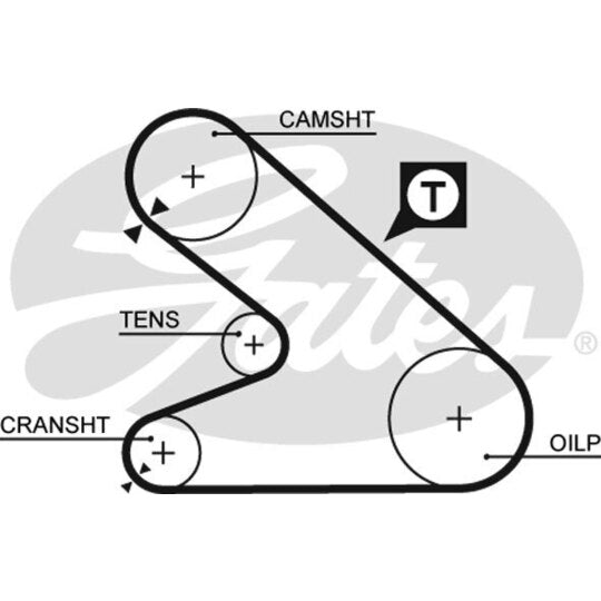5054 Timing Belt