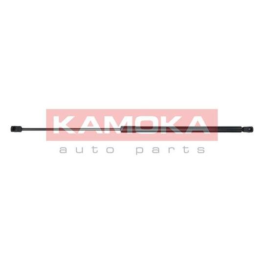 7091159 Gas Spring, bonnet