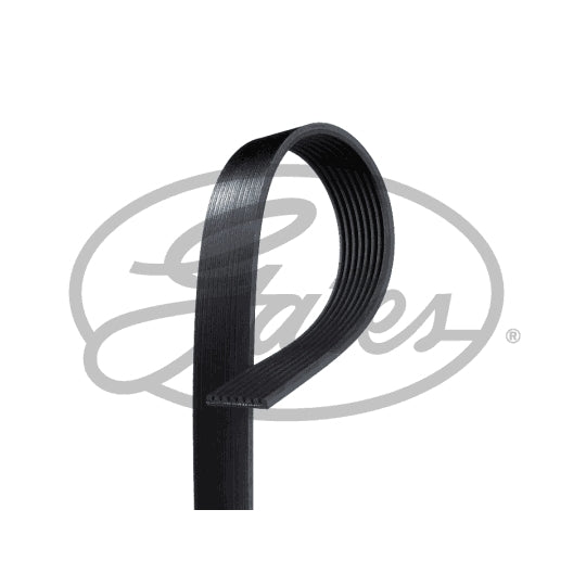 K080702 V-Ribbed Belt