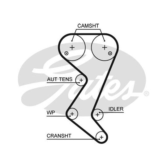 5582XS Timing Belt