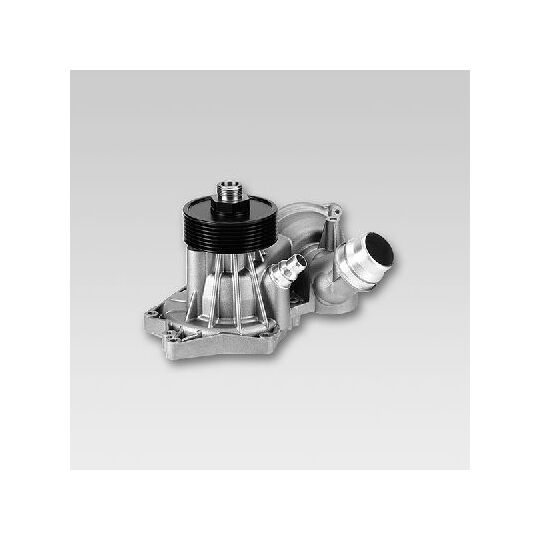 P491 Water pump