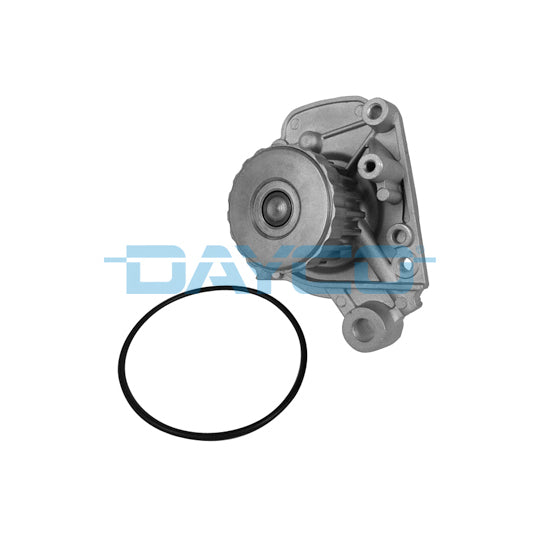 DP198 Water pump