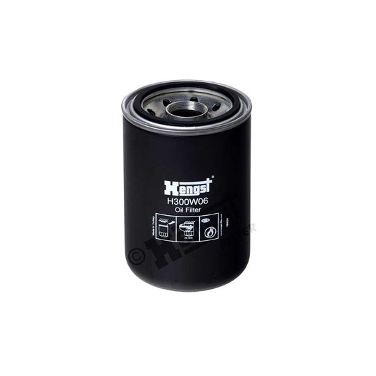 H300W06 Oil filter