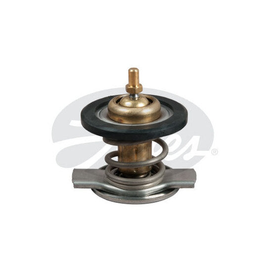 TH50187G1 Thermostat, coolant