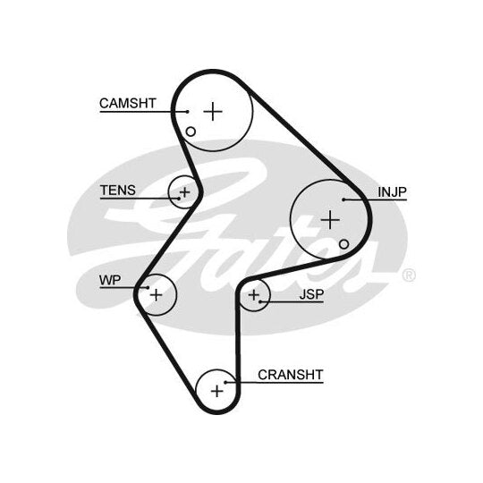 5249XS Timing Belt