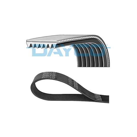 7PK1835 V-Ribbed Belt