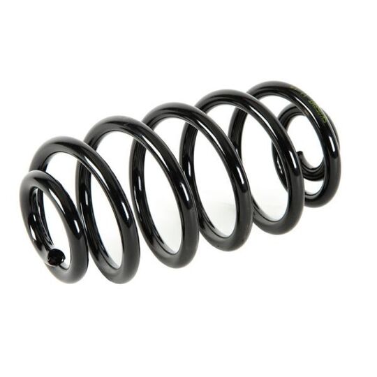 SK058MT Rear axle suspension spring