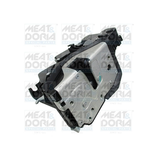 31667 Door Lock