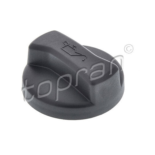 100 198 Sealing Cap, oil filling port
