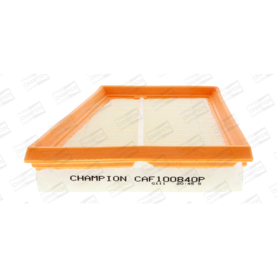 CAF100840P Air filter