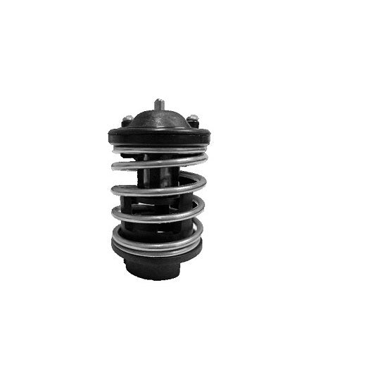 733-87 InsK Thermostat, coolant