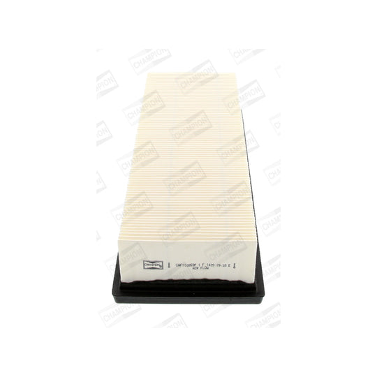 CAF100859P Air filter