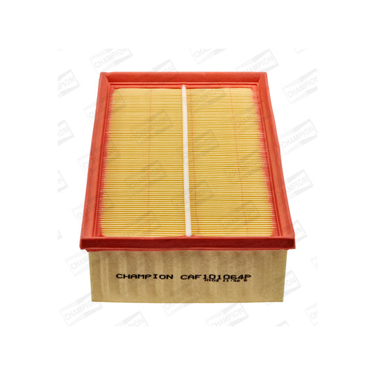 CAF101064P Air filter
