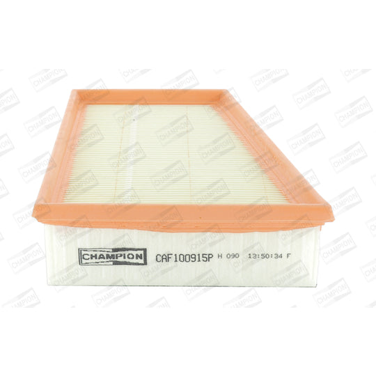 CAF100915P Air filter