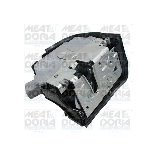 31673 Door Lock
