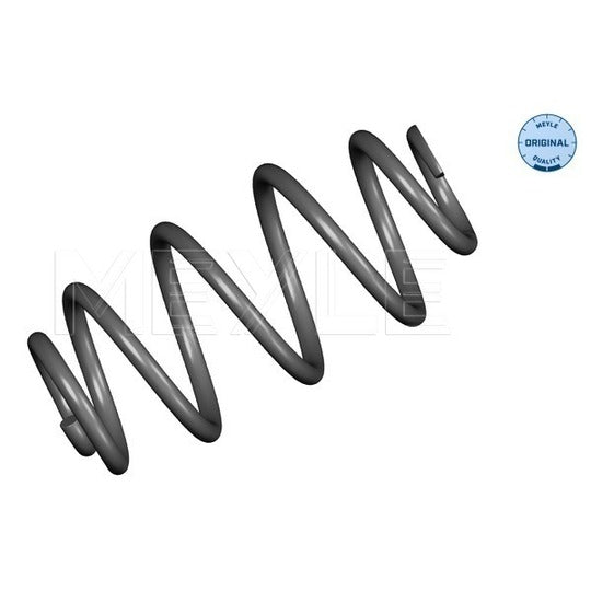 100 739 0029 Coil Spring