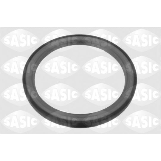 1954001 Shaft Seal, crankshaft