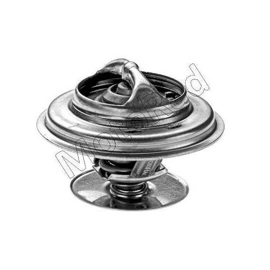 248-79JK Thermostat, coolant