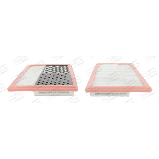 CAF100844P Air filter