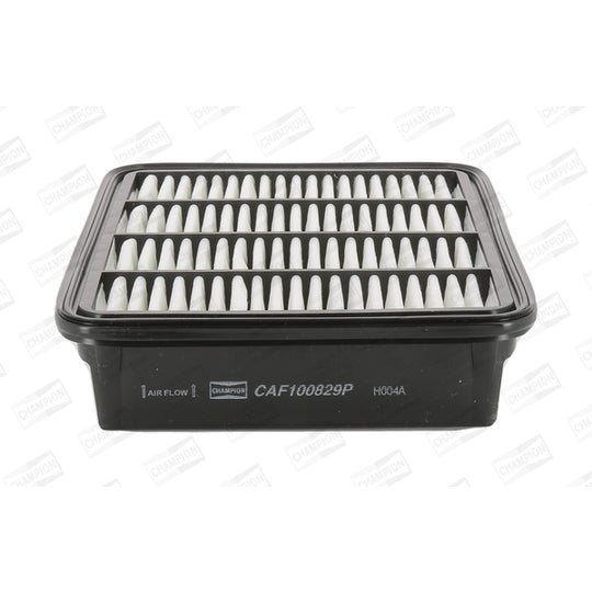 CAF100829P Air filter