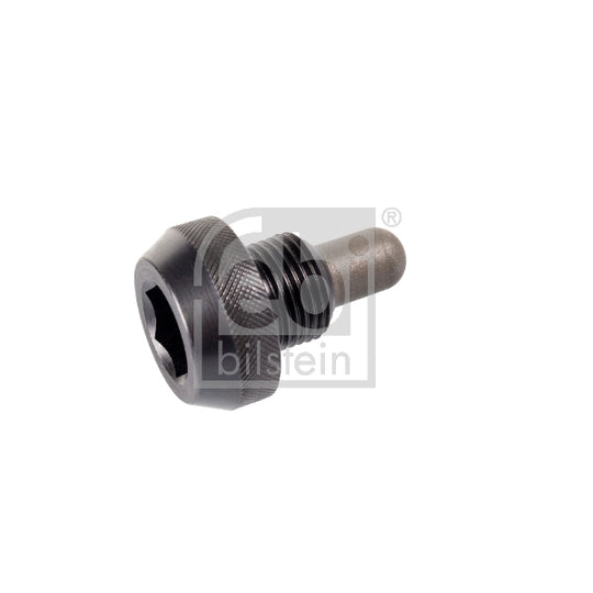 102361 Sealing Plug, oil sump