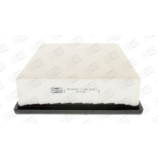 CAF100612P Air filter