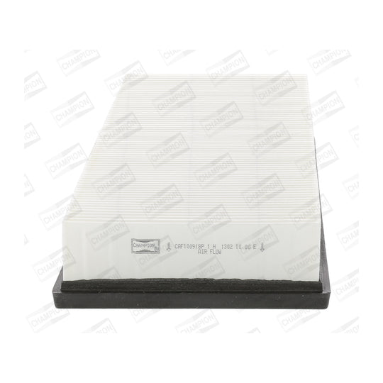 CAF100918P Air filter