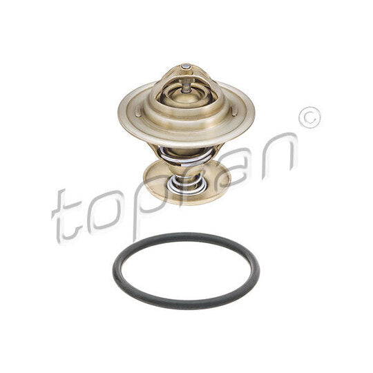 100 573 Thermostat, coolant