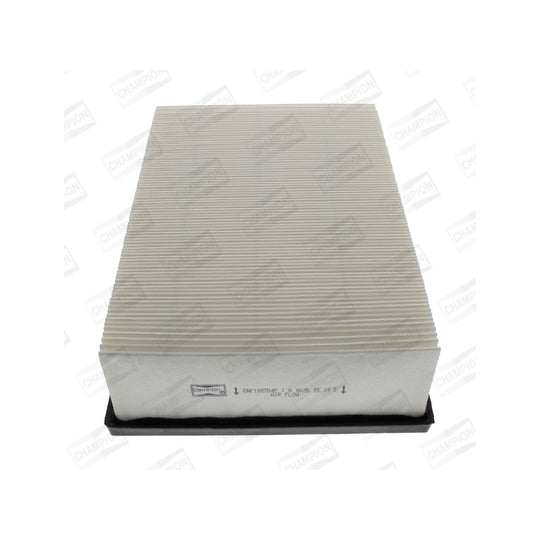 CAF100754P Air filter