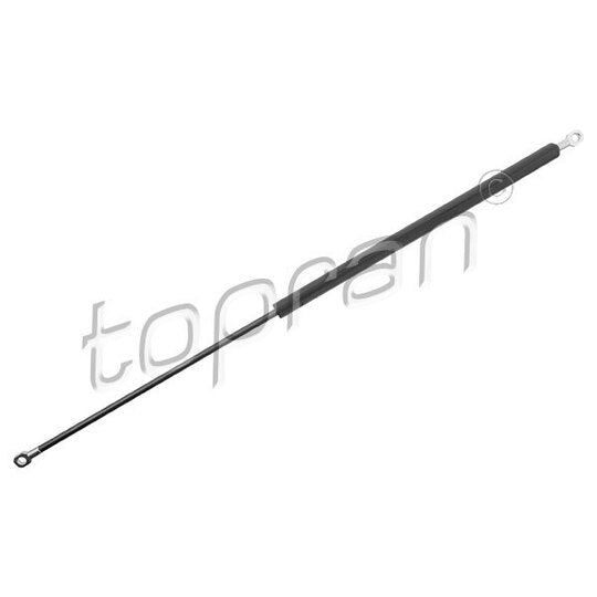 112 056 Gas Spring, bonnet