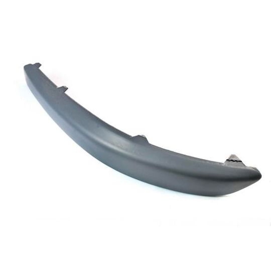 6502-07-9524921Q Trim/Protective Strip, bumper