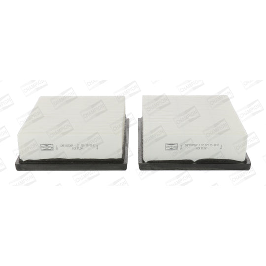 CAF100726P Air filter