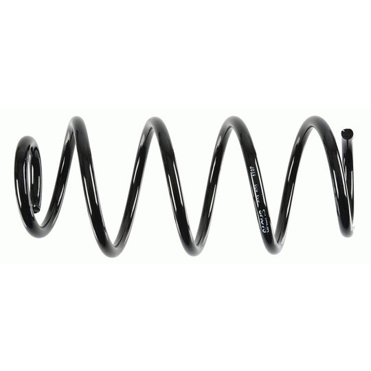 993 070 Coil Spring