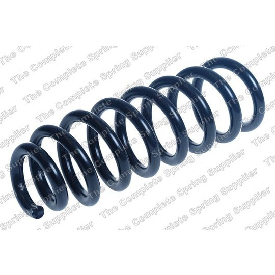 25131 Coil Spring