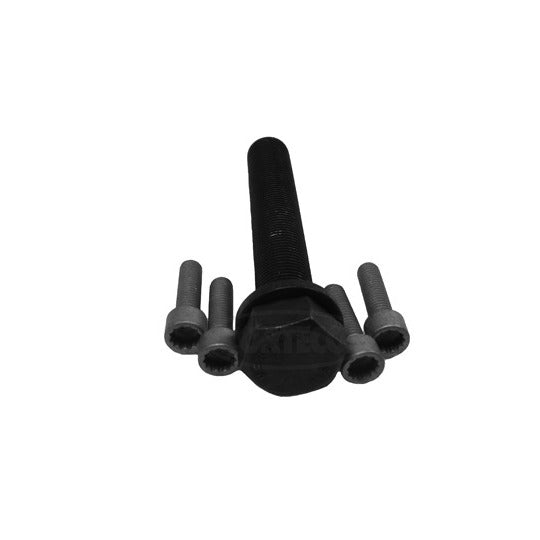 80001244 Bolt Set, crankshaft pulley